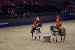 Quadrille - 00083